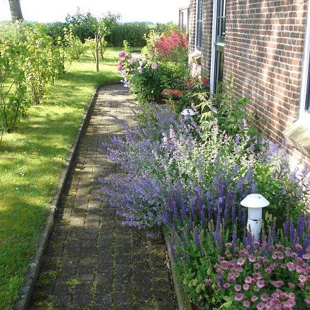 B&B Op De Vlakte Oosternijkerk 外观 照片