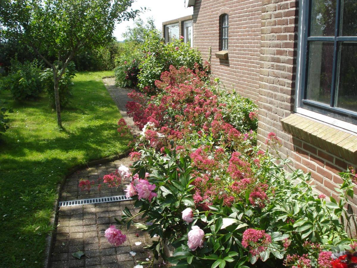 B&B Op De Vlakte Oosternijkerk 外观 照片